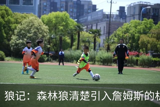 狼记：森林狼清楚引入詹姆斯的机会微乎其微 但他们积极主动招募